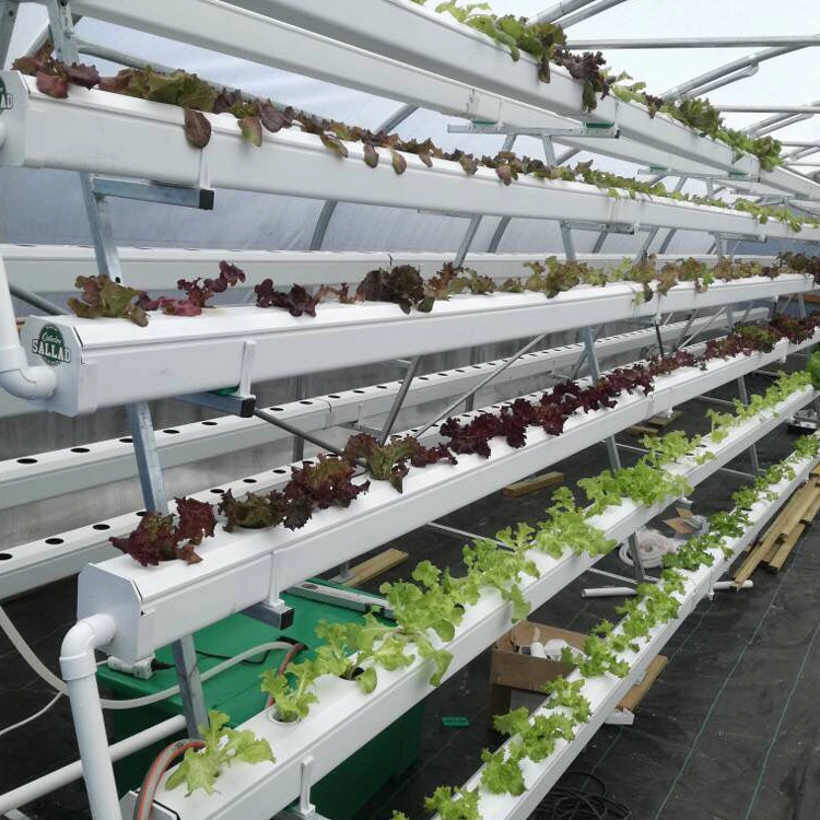 Гибкие прозрачные гидропонные трубы Aquaponic