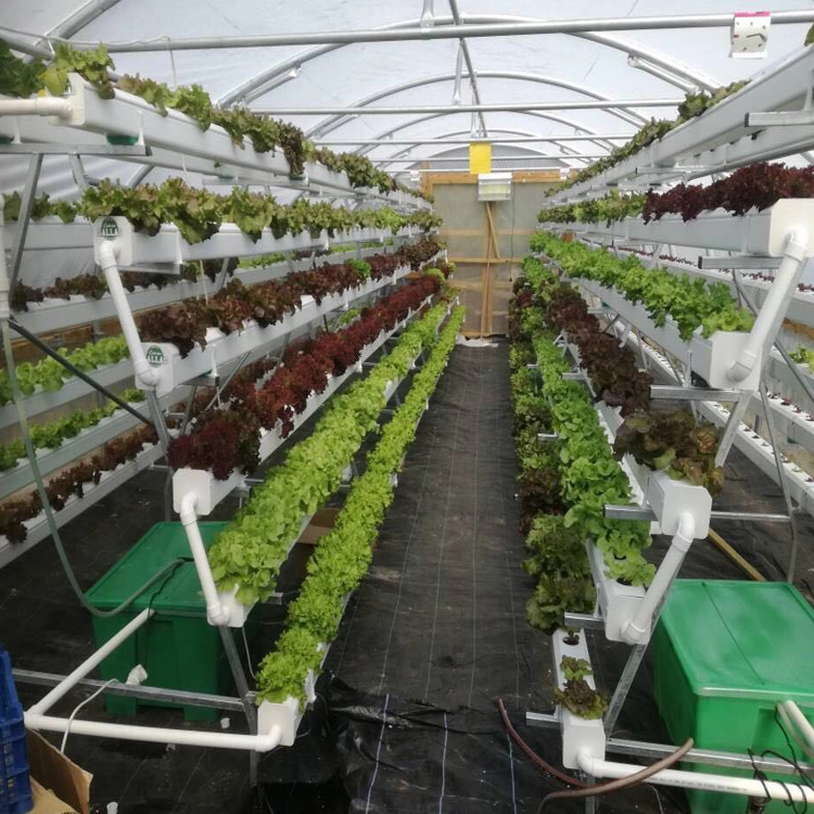 Гибкие прозрачные гидропонные трубы Aquaponic